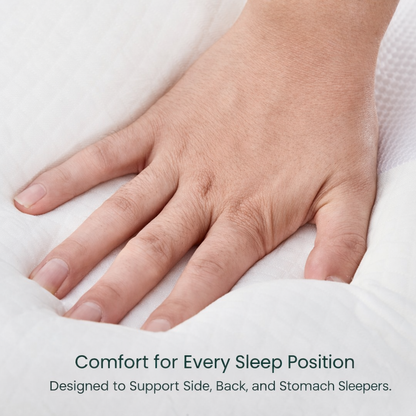 Cervical & Migraine Pillow